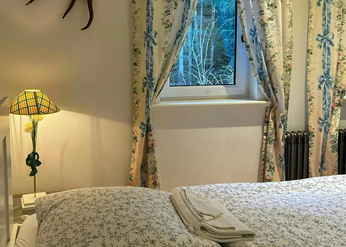 펜션 Historic With Brocken View In Harz 베르니게로데